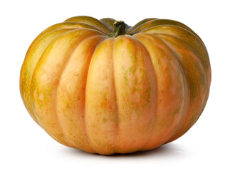Studio shot of a pumpkin isolated on white background