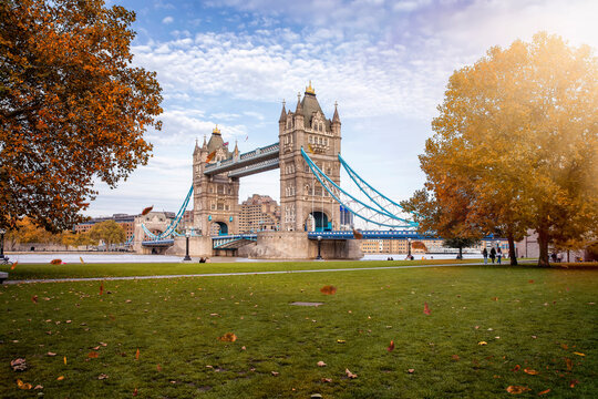 Beautiful view to the Tower Bridge of London, United Kingdom, with golden sunshine and colorful leafs on the trees during autumn time