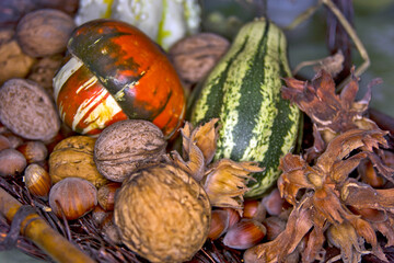 Walnuts, hazelnuts and decorative pumpkins