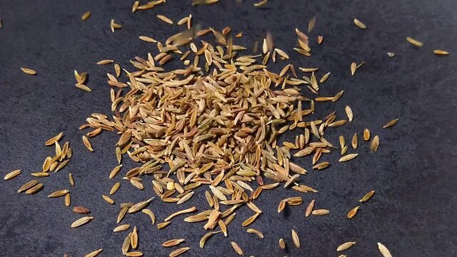 Slow motion close up of dried cumin seeds falling into dark grey cast iron pan for roasting spices