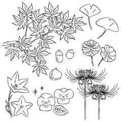 秋　紅葉　イチョウ　花　あしらい　ペン画　手書き