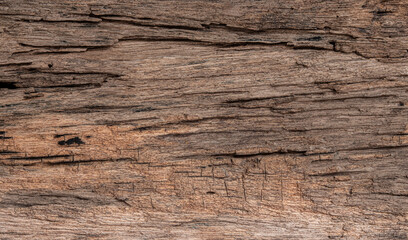 vintage photo ; old teak wood background.