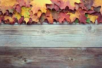 Naklejka na ściany i meble Border frame of colorful autumn leaves isolated on wooden background. Autumn, fall, thanksgiving day, nature concept. Flat lay, top view, copy space.