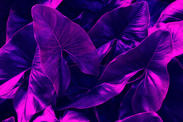 tropical leaves, abstract nature background, purple toned