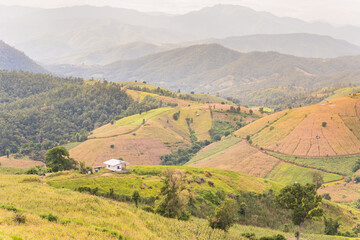 Naklejka premium Panorama Aerial View of Pa Bong Piang terraced rice fields, Mae Chaem, Chiang Mai Thailand.