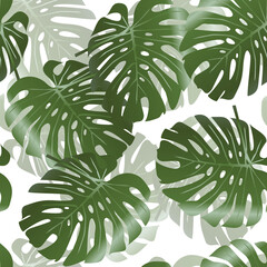 seamless floral pattern with big leaf of monstera