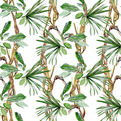 seamless floral pattern with liana and green tropical plants