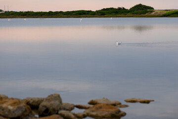 Salt lake Nature reserve Salina dei Monaci of Torre Colimena in the cloudy day, Salento, Puglia