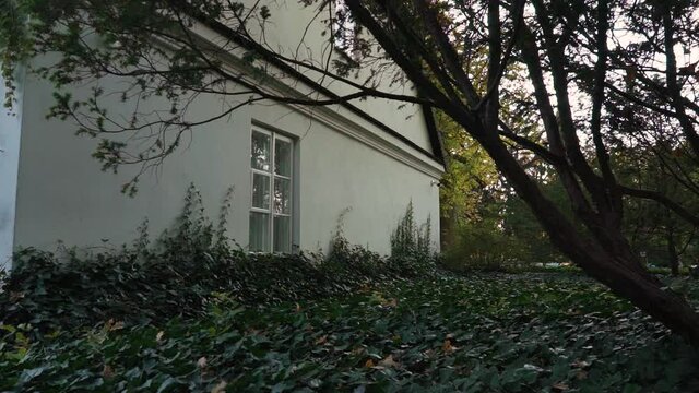 House in ivy in Zelazowa Wola Park, Poland, Europe, September 2020, natural park in zelazowa wola. The birthplace of Frederic Chopin composer.