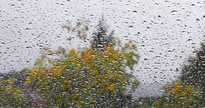 Lluvia