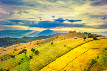 Panorama Aerial View of Pa Bong Piang terraced rice fields at sun set time, Mae Chaem, Chiang Mai Thailand.
