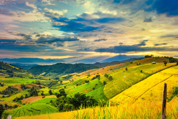 Panorama Aerial View of Pa Bong Piang terraced rice fields at sun set time, Mae Chaem, Chiang Mai Thailand.