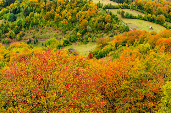 Fall landscape in the mountains. Mountain autumn scene with colorful trees in the forest. There are some houses and cottages in the meadow