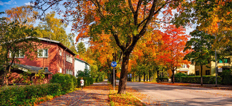 Comfortable and ecological urban city concept. Walking and bicycle path. A woman walking on the street in autumn town.  Colorful fallen leaves on a road with red wooden house. Safe city scene.