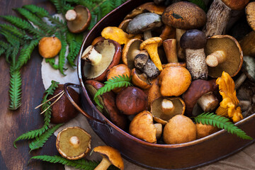 Fresh uncooked wild mushrooms on rustic wooden  background, copy space