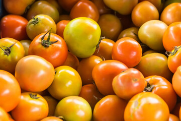 Selective focus of Delicious red tomatoes. Summer tray market agriculture farm full of organic vegetables It can be used as background.Don't focus on The main subject .