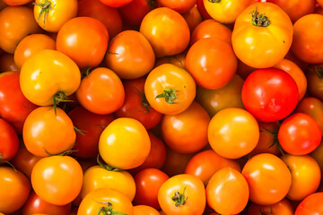 Selective focus of Delicious red tomatoes. Summer tray market agriculture farm full of organic vegetables It can be used as background.
