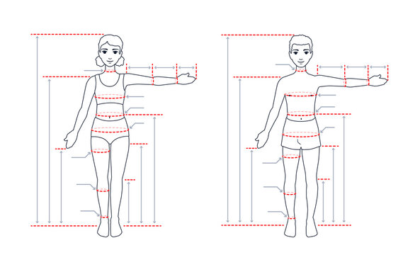 A child's body size chart. Measurements for tailoring clothes. Children anatomy. A measure of a kid. A girl, a boy standing in a full length with one arm spread out. A vector contour illustration.