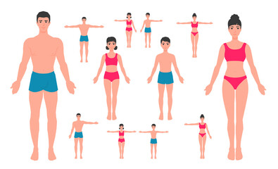 Human body anatomy. A man, a woman, a girl, a boy. Family in underwear, one arm raised, both arms spread out. A mannequin, dressmaker's model. A vector cartoon illustration.