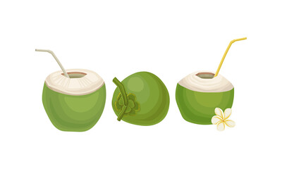 Green Coconut with Straw as Refreshing Drink Vector Set