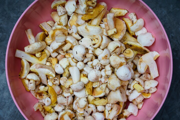 full toe of peeled forest mushrooms on gray background
