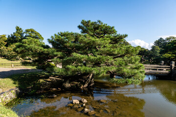 日本庭園の眺望