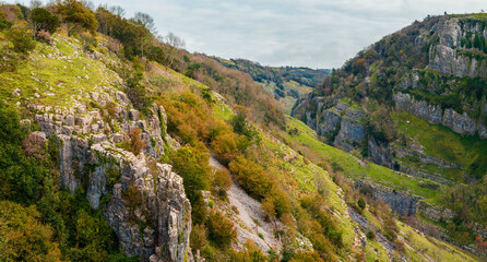 Naklejka premium Cheddar Gorge in Black Rock Nature Reserve - Cheddar in Somerset in England in Europe
