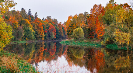Autumn landscape of colorful trees reflected in the mirrored surface of the calm river on a cloudy day. Trees with orange fall foliage. October scenery. Beautiful scene of the coastline with forest.