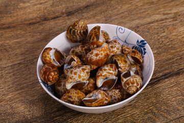 Tasty mollusk - spotted Babylon in the bowl