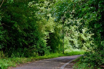 Fototapeta na wymiar Footpath in a park in Coventry, England, UK