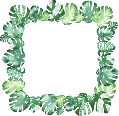 Fototapeta premium Watercolor hand painted monstera frame. Frame with the tropical leaves. Template for greeting or wedding card. Natural green background with space for text.