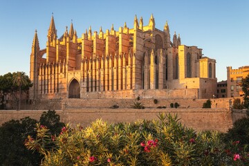 Palma Cathedral in golden sun with foliage in foreground, Palma, Mallorca, Spain. © gaz