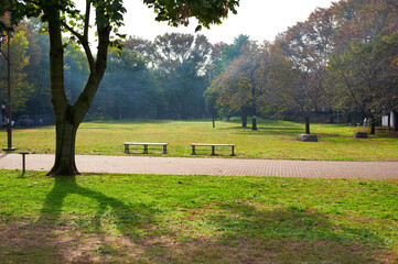 逆光の中、冬の朝モヤが公園を横切っている