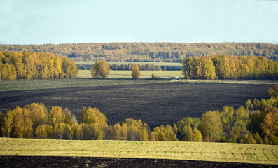 Cultivated agricultural fields among the endless multicolored Ural forest. In the foothills of the Western Urals, golden autumn is in full swing.