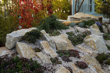 garden with flowers and stone