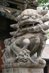 Fototapeta na wymiar statue of a chinese guardian lion in a taoist temple (qing xu guan) in pingyao in china
