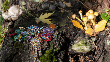 Wonderful vintage multi colored brooches with sparkling stones lie among leaves and  mushrooms on the weathered cracked tree stump. Sparkling crystals on an old  log create a fabulous atmosphere.