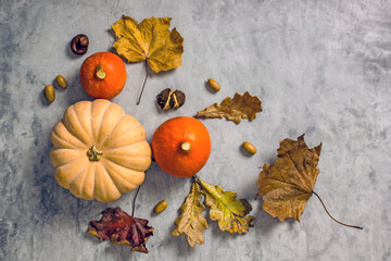 Autumn composition with pumpkins for Thanksgiving or Halloween. Yellow pumpkin, fallen leaves, chestnuts, acorns on a dark background, copy space, top view, flat lay. Autumn frame of pumpkin 