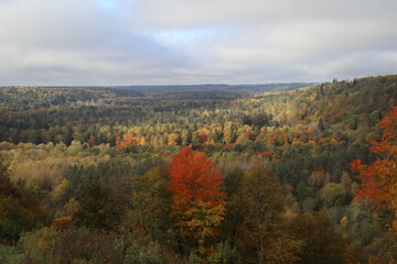Fototapeta premium Autumn in the Gauja National Park in Latvia, Baltic States, Europe