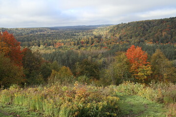 Fototapeta premium Autumn in the Gauja National Park in Latvia, Baltic States, Europe