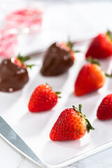 Chocolate dipped strawberries