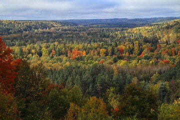Autumn in the Gauja National Park in Latvia, Baltic States, Europe