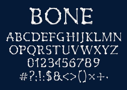 Font of bones, vector Halloween and Dia de los Muertos holidays design. Alphabet type of human skeleton bones, capital letters, numbers or digits and punctuation marks of tibia, fibula, ribs, humerus