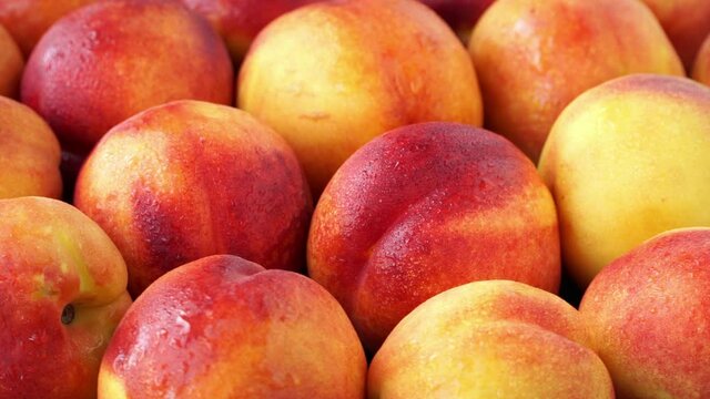 Side view of fresh ripe nectarine with water drops rotate on tray. Harvest time. Healthy and organic fruits concept. Vegan Food background