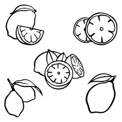 Vector sketch lemon with leaf set. Black and white with line art isolated on white backgrounds. Lemon  icon or logo.
