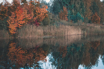 autumn trees reflected in water in October evening