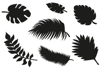 Set of shape tropical leafs in white background. Vetor illustrations on white background.