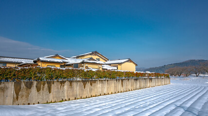House In Winter Landscape