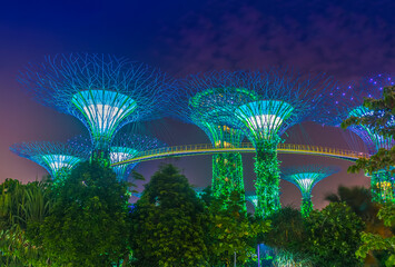 Colorful light display in blue and green tones at Supertree Grove, Gardens by the Bay, Singapore 