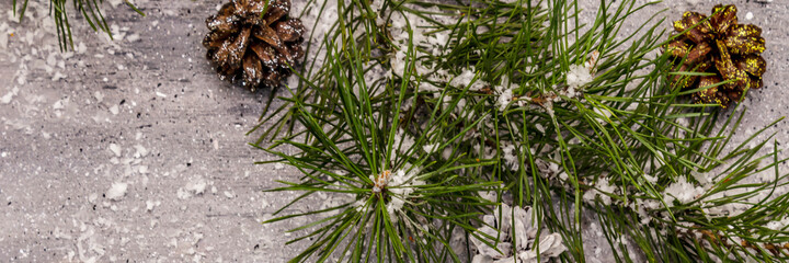 New Year concept. Pine branch, cones, snow. Christmas decoration